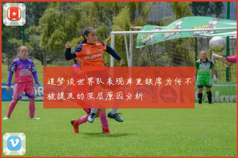 追梦谈世界队表现库里缺席为何不被提及的深层原因分析
