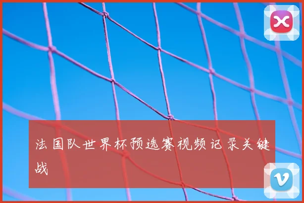 法国队世界杯预选赛视频记录关键战