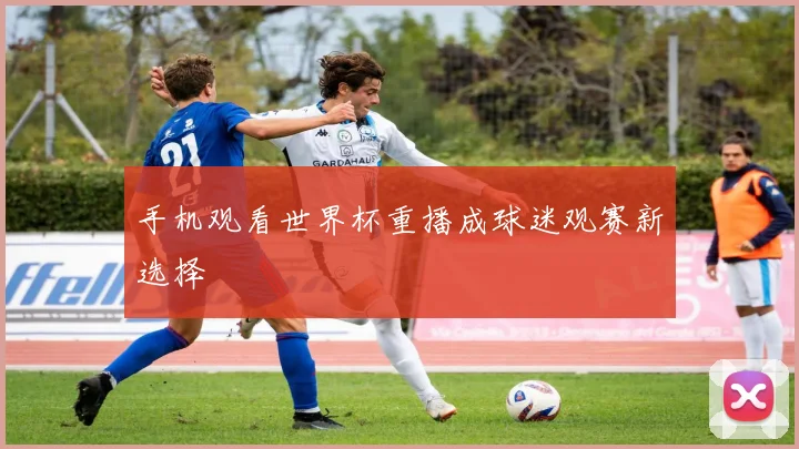 手机观看世界杯重播成球迷观赛新选择
