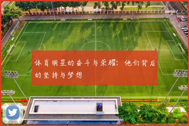 体育明星的奋斗与荣耀：他们背后的坚持与梦想