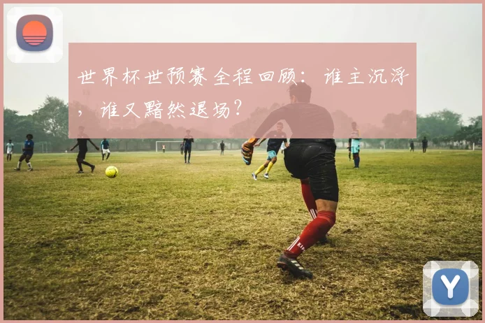 世界杯世预赛全程回顾:谁主沉浮,谁又黯然退场?