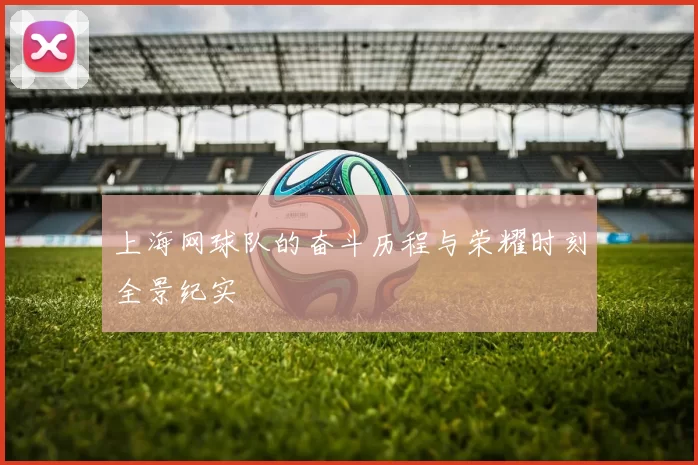 上海网球队的奋斗历程与荣耀时刻全景纪实