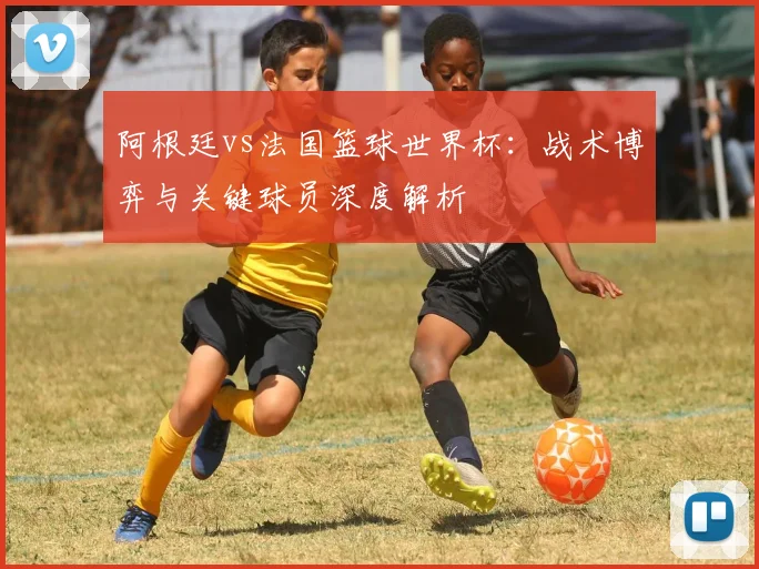 阿根廷vs法国篮球世界杯:战术博弈与关键球员深度解析