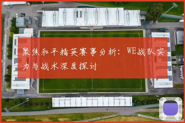 聚焦和平精英赛事分析：WE战队实力与战术深度探讨