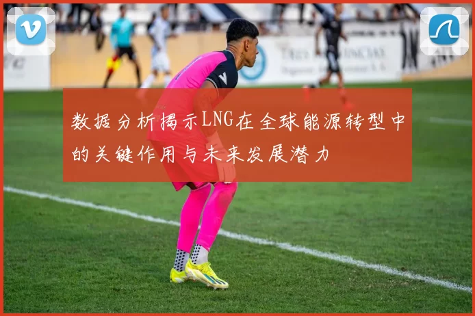 数据分析揭示LNG在全球能源转型中的关键作用与未来发展潜力