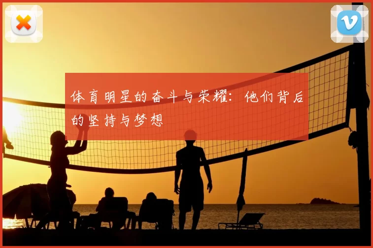 体育明星的奋斗与荣耀：他们背后的坚持与梦想