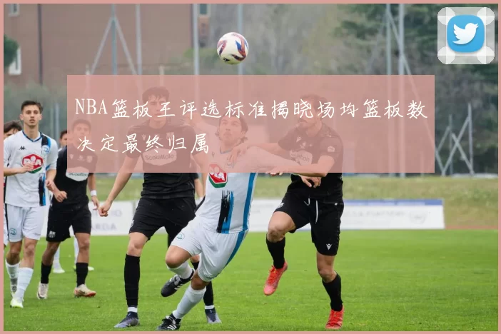 NBA篮板王评选标准揭晓场均篮板数决定最终归属