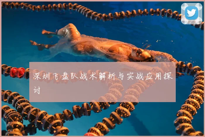 深圳飞盘队战术解析与实战应用探讨