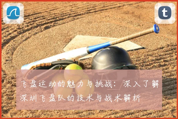 飞盘运动的魅力与挑战：深入了解深圳飞盘队的技术与战术解析