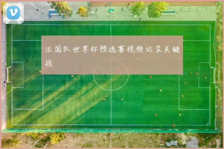 法国队世界杯预选赛视频记录关键战