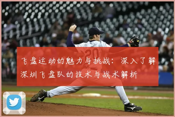 飞盘运动的魅力与挑战：深入了解深圳飞盘队的技术与战术解析